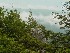 Big Run Scenic Overlook